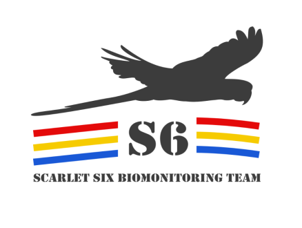 s6a